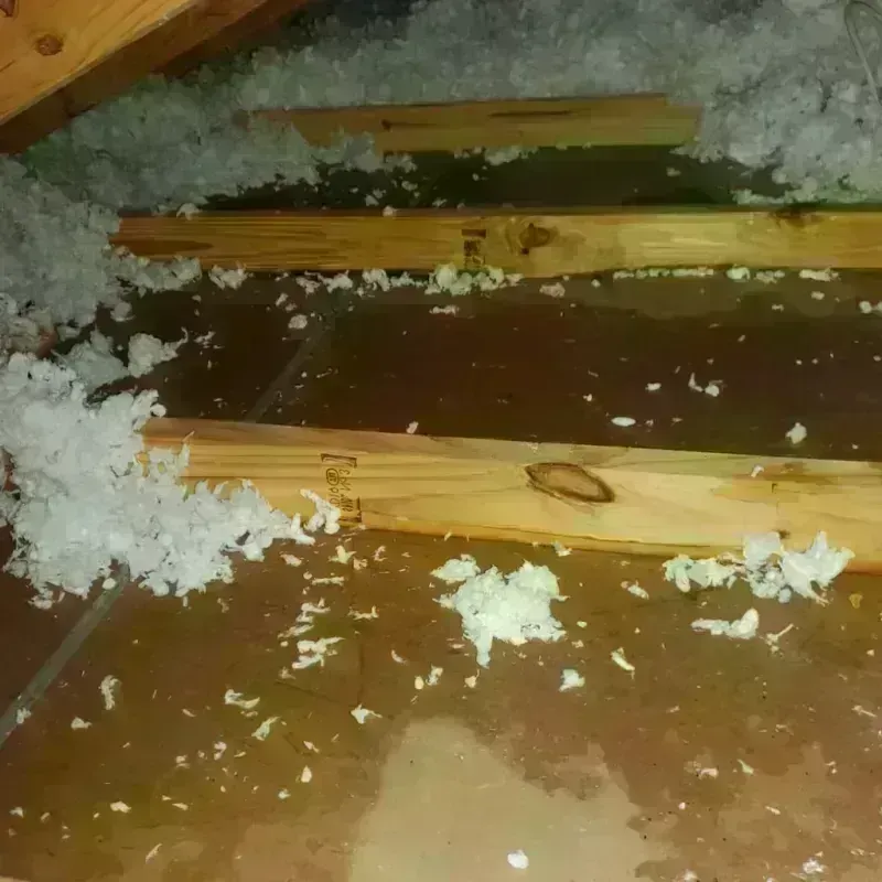 Attic Water Damage in Madelia, MN