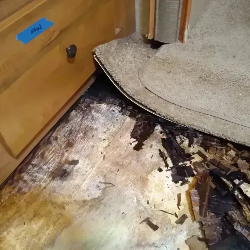 Wood Floor Water Damage in Madelia, MN